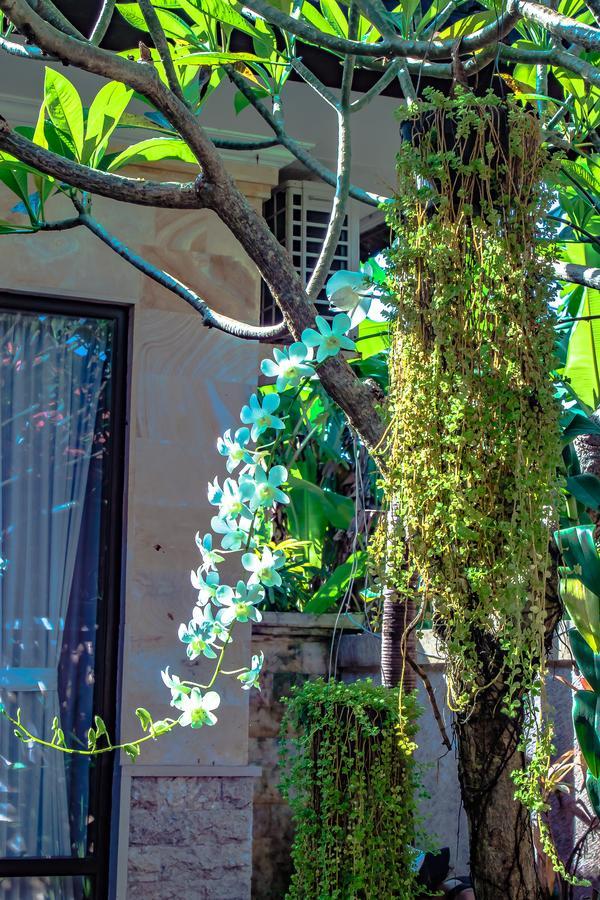 Villa Impian Canggu Eksteriør billede